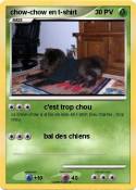 chow-chow en