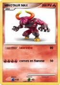 MINOTAUR MAX