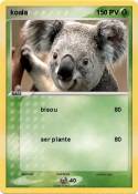 koala