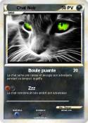 Chat Noir