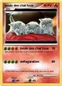 boule des chat