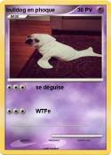 bulldog en