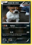 fureur de chiot