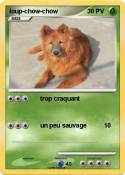 loup-chow-chow loup-chow-chow