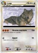 Loup Loup