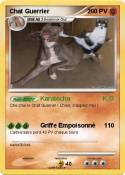 Chat Guerrier