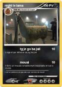 night le lama