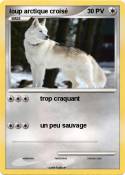 loup arctique