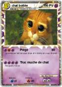 chat bottée