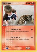 petit tigre