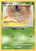 welsh corgi