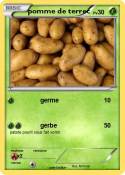 pomme de terrec