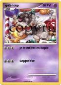 spitz-loup