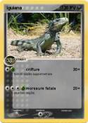 iguiana