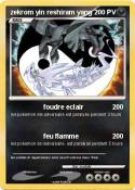 zekrom yin