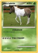 zèbre hybride