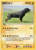ROTT niv X