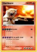 Chat Bourré
