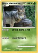 berger allemand
