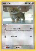 petit chat