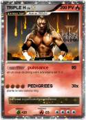 TRIPLE H TRIPLE H