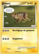 guépard