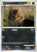 chat-nul lv.40 chat-nul lv.40