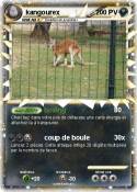 kangourex