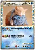 chat-a-catz