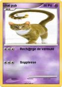 chat pub