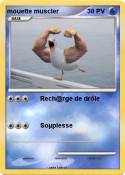 mouette muscler