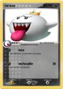 roi boo