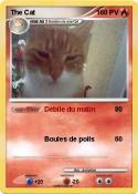 The Cat