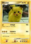 Pikachat Pikachat