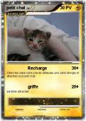petit chat