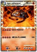 tigre enflammer