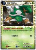 TORTERRA