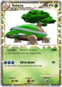Torterra
