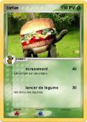 tortue