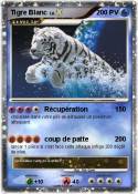 Tigre Blanc