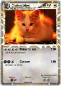 Chatou biber
