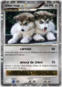 chien loup