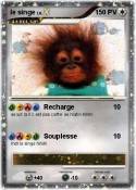 le singe