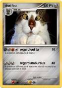 chat fou