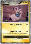 chat rockeur