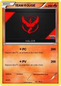 TEAM ROUGE