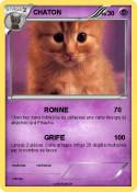 CHATON