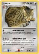 chat