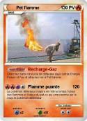 Pet flamme Pet flamme