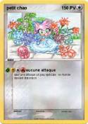 petit chao 